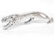 LEOPARD(SILVER) small